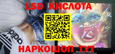 стафф Будённовск