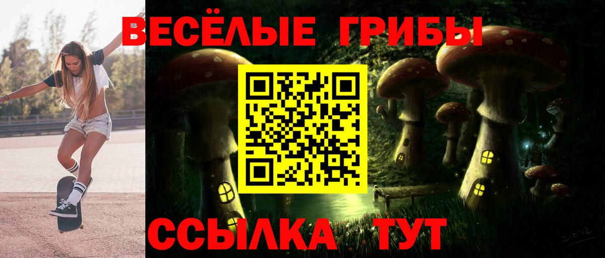 Галлюциногенные грибы Psilocybine cubensis  Вход с VPN  Кондопога 
