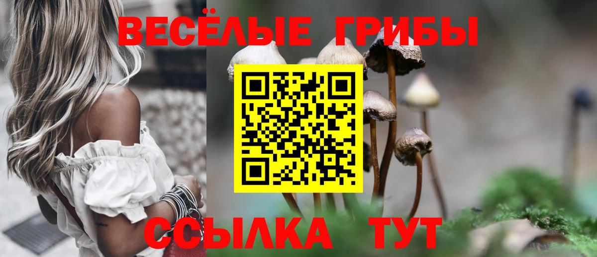Псилоцибиновые грибы Magic Shrooms Кондопога